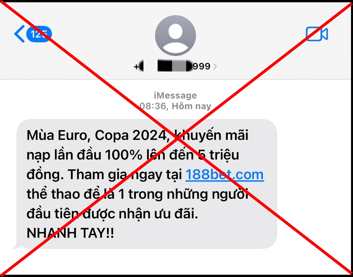 Mùa EURO: Cảnh giác với tin nhắn rác mời chào cá độ bóng đá, rút tiền thẻ tín dụng lãi suất thấp- Ảnh 1.